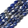 Natural Lapis Lazuli Beads Strands G-B159-A03-2