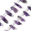 Natural Amethyst Beads Strands G-Q023-B02-01-1