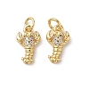 Brass Micro Pave Cubic Zirconia Charms KK-D502-26M-G-1