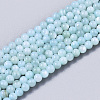 Natural Freshwater Shell Beads Strands X-BSHE-T009-01C-1