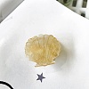 Shell Shape Cellulose Acetate Claw Hair Clips PW-WG49F1A-04-1