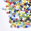 Opaque Glass Seed Beads SEED-S023-01A-M-2