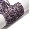 Natural Amethyst Beads Strands G-P581-B01-01-3