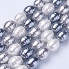 Shell Pearl Beads Strands BSHE-P030-03C-2