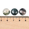Natural Moss Agate Cabochons G-D367-01A-02-3