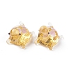 Handmade Lampwork Beads LAMP-D015-03J-2