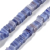 Handmade Lampwork Beads Strands LAMP-Q037-02B-12-1
