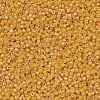 MIYUKI Delica Beads SEED-J020-DB0651-3