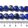 Natural Lapis Lazuli Beads Strands G-H005-C19-01-5