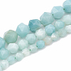 Natural Amazonite Beads Strands G-S332-8mm-009-2