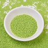 MIYUKI Delica Beads X-SEED-J020-DB0763-2