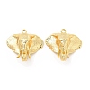 Brass Pendants KK-B062-01G-2