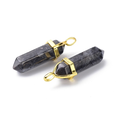 Natural Larvikite Pointed Pendants G-G025-01G-21-1