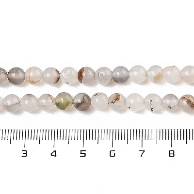 Natural Dendritic Agate Beads Strands G-A248-A07-01-1