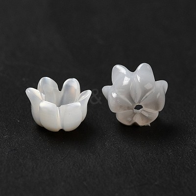 Natural Freshwater Shell Bead Caps BSHE-E026-12-1