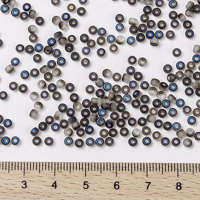 MIYUKI Round Rocailles Beads X-SEED-G008-RR4556-1