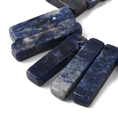 Natural Sodalite Beads Strands G-S386-D19-1