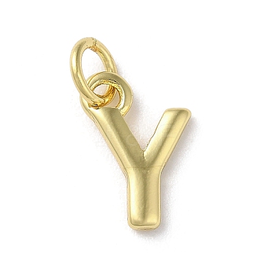Rack Plating Brass Charms KK-P245-06G-Y-1