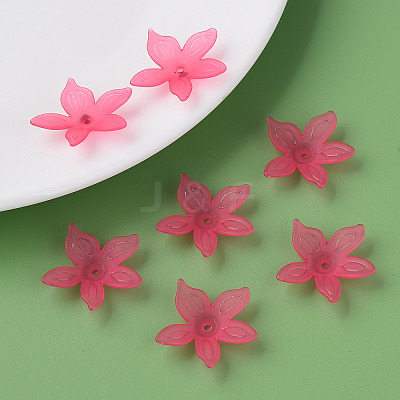 Transparent Acrylic Beads X-MACR-S373-127-D-1
