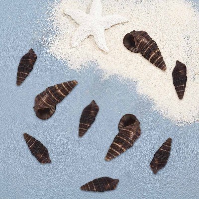 Spiral Shell Beads SSHEL-SC0001-07-1