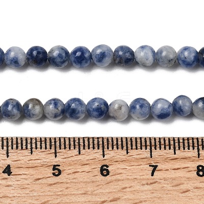 Natural Blue Spot Jasper Beads X-GSR4mmC036-1