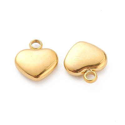 304 Stainless Steel Pendants STAS-Z009-19G-1