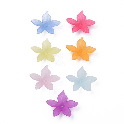 Transparent Acrylic Beads MACR-S373-127-D-1