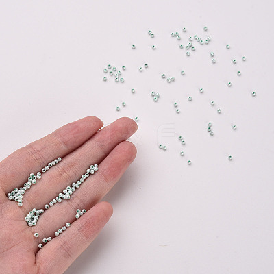 11/0 FGB Grade A Ceylon Glass Seed Beads X-SEED-N001-B-0487-1