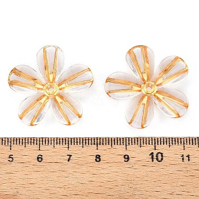 Transparent Acrylic Beads TACR-T028-18A-1