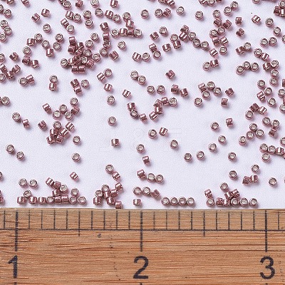 MIYUKI Delica Beads X-SEED-J020-DB0423-1