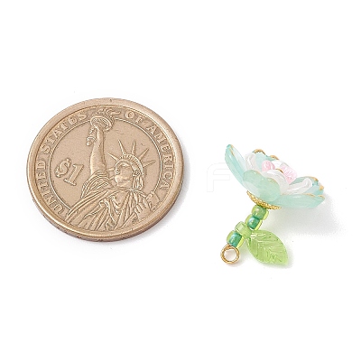 Transparent Acrylic Pendants PALLOY-MZ00822-05-1