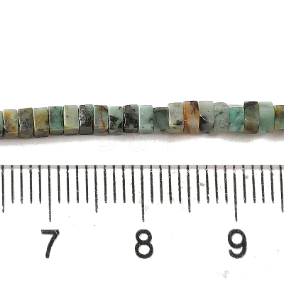 Natural African Turquoise(Jasper) Beads Strands G-N342-83-1