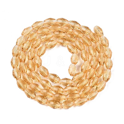Transparent Glass Beads Strands EGLA-A037-T6x8mm-D05-1