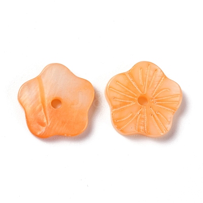 Natural Freshwater Shell Beads SHEL-C001-15B-1