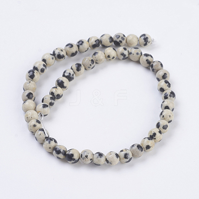 Natural Dalmation Jasper Beads Strands X-G-G515-4mm-06-1
