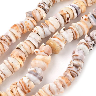 Natural Shell Beads Strands SSHEL-F304-01-1