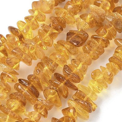 Natural Amber Beads Strands G-L095-D01-02-1