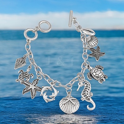 Ocaen Alloy Charm Bracelets FS-WGFD137-01-1