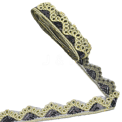 Sparkle Polyester Lace Ribbon SRIB-WH20020-049D-1