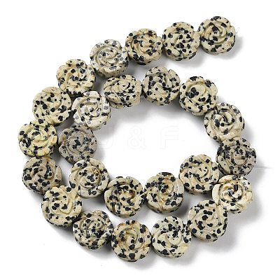 Natural Dalmatian Jasper Beads Strands G-B065-B14-1