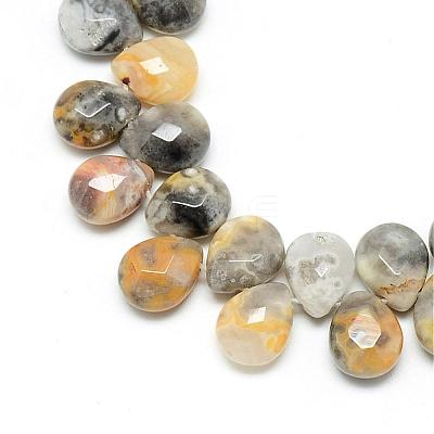 Natural Crazy Lace Agate Gemstone Beads Strands G-T006-10-1
