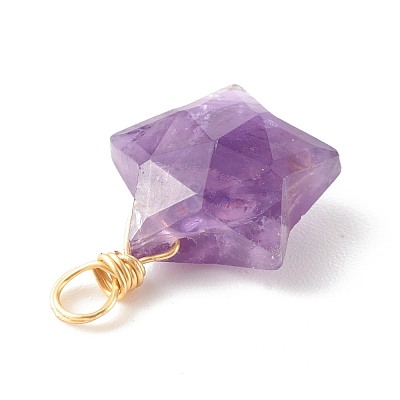 Natural Mixed Gemstone Charms PALLOY-JF00748-1