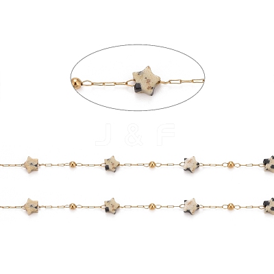 Ion Plating(IP) 304 Stainless Steel Satellite Chains CHS-G019-01G-06-1