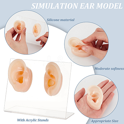 2Pcs 2 Styles Silicone Ear Flexible Model Body Part Displays ODIS-OC0001-67-1
