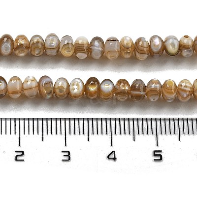 Natural Freshwater Shell Beads Strands X-BSHE-G038-05-1