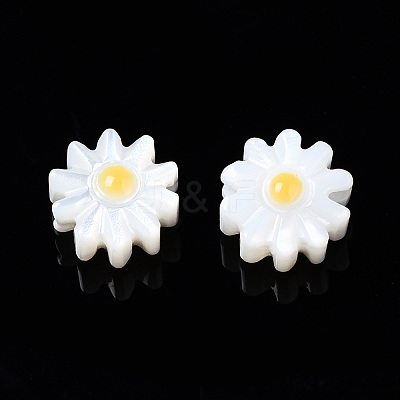 Natural Freshwater Shell Beads SHEL-N003-20A-01-1