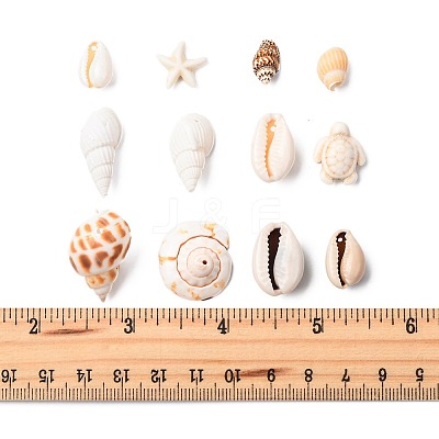DIY Conch Shell Starfish Turtles Beads Findings Kits DIY-FS0010-25-1