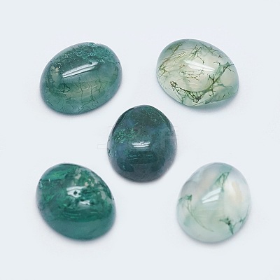 Natural Moss Agate Cabochons X-G-G759-Z12-1