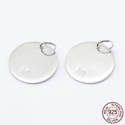 925 Sterling Silver Pendants STER-K167-006C-S-1
