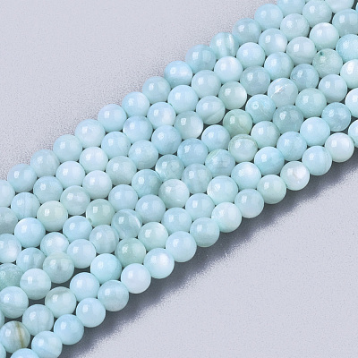 Natural Freshwater Shell Beads Strands X-BSHE-T009-01C-1